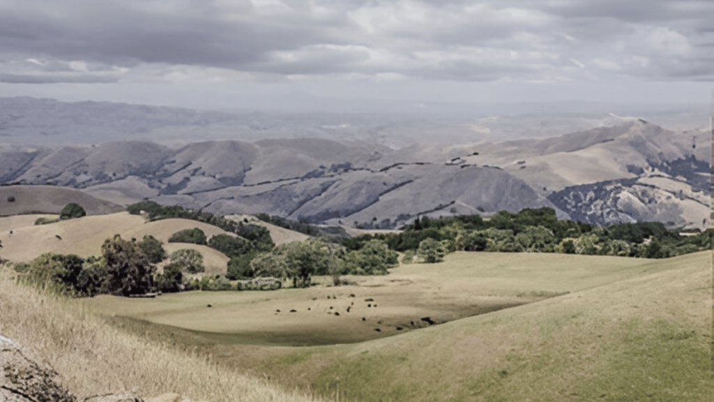 Sunol Wilderness Regional Preserve